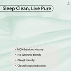 100% Bamboo King Size Bedsheet 275x275 cm with 2 Oxford Pillowcases | 250 TC Ultra Soft, Cooling & Breathable | Plain Solid Luxury Double Bed Sheet (Silver, Pillow Cover Pack of 2)